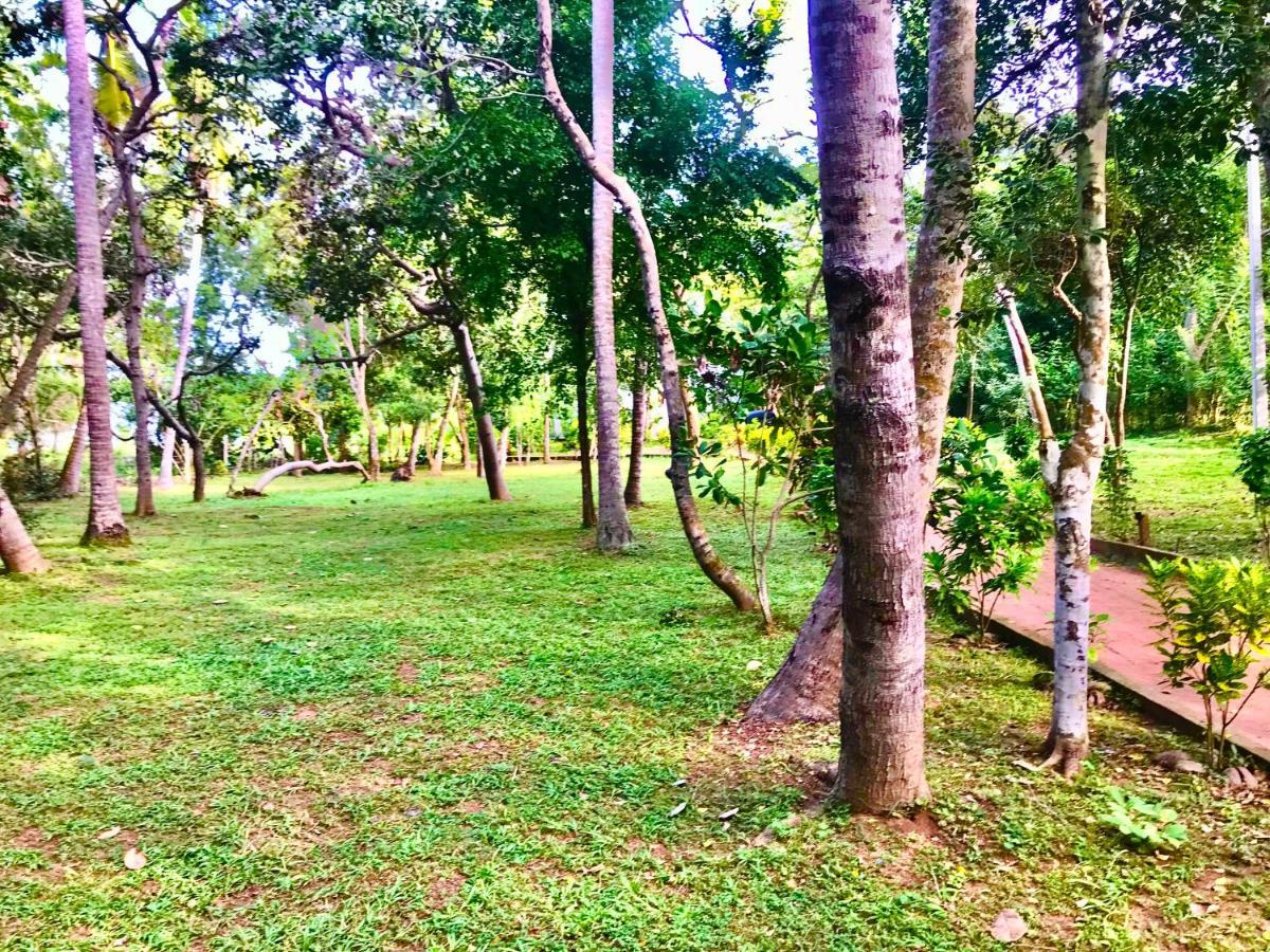 Ashansa Lagoon Resort Tangalle Exterior foto